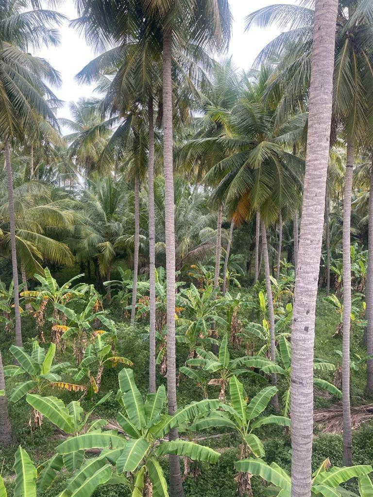 Madurai Home Stay Exterior photo